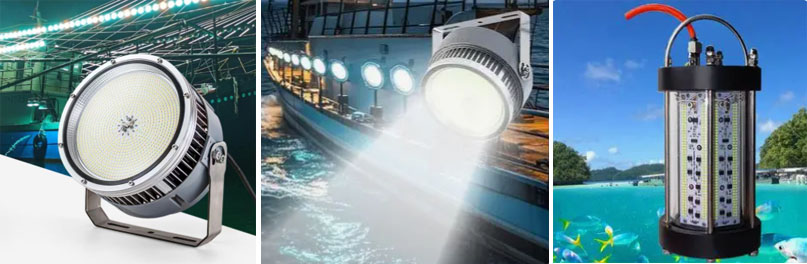 M&oacute;dulo de PCB LED de luz de pesca